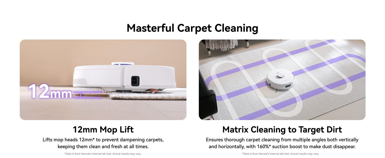 Masterful Carpet Cleaning for mopping robot Freo Pro