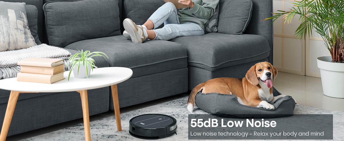 robot vacuum and mop